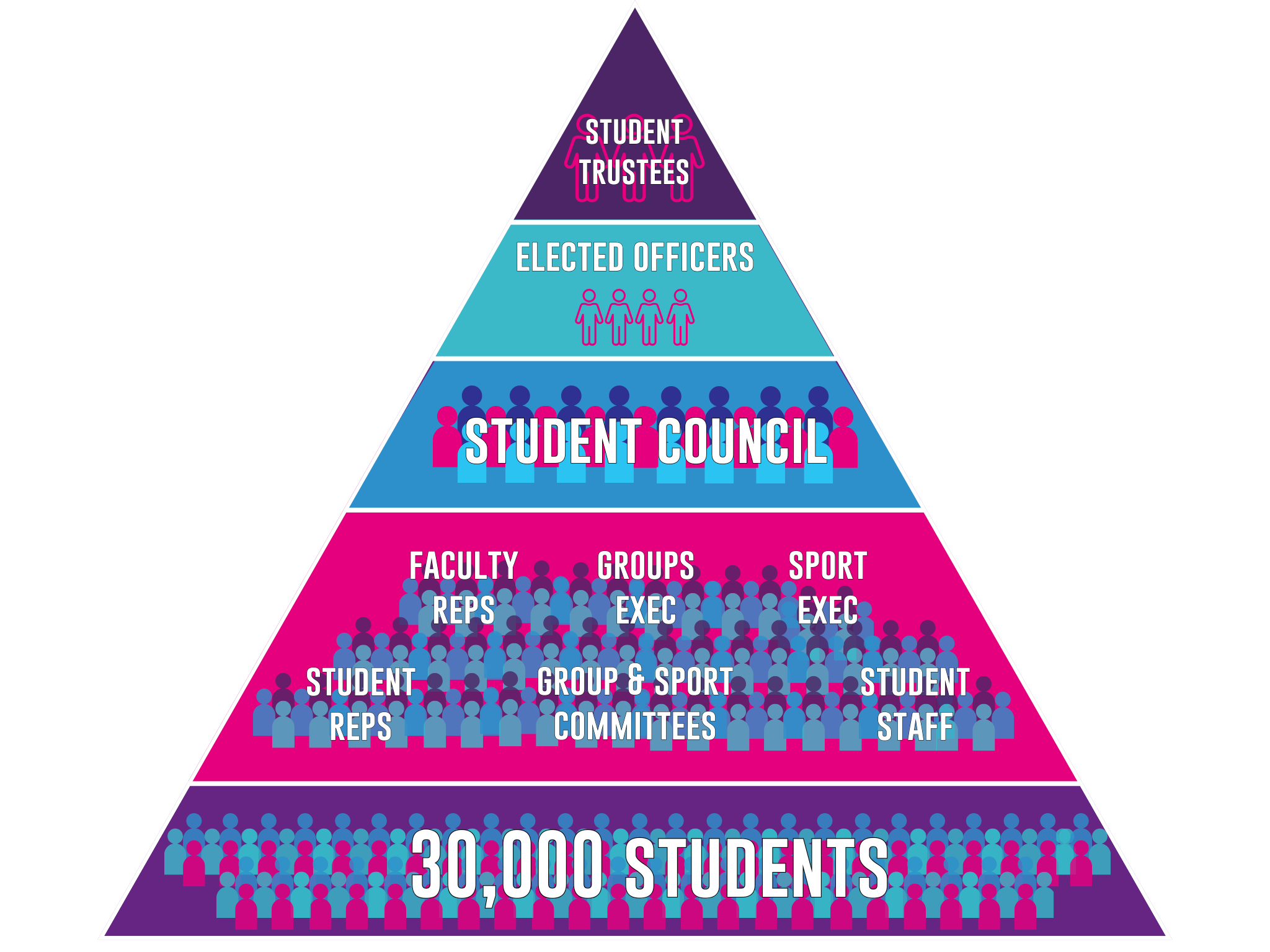 Diagram showing the representation structure at the UPSU - Student Trustees, Elected Officers, Student Council, Faculty/Student/Course Reps, Students